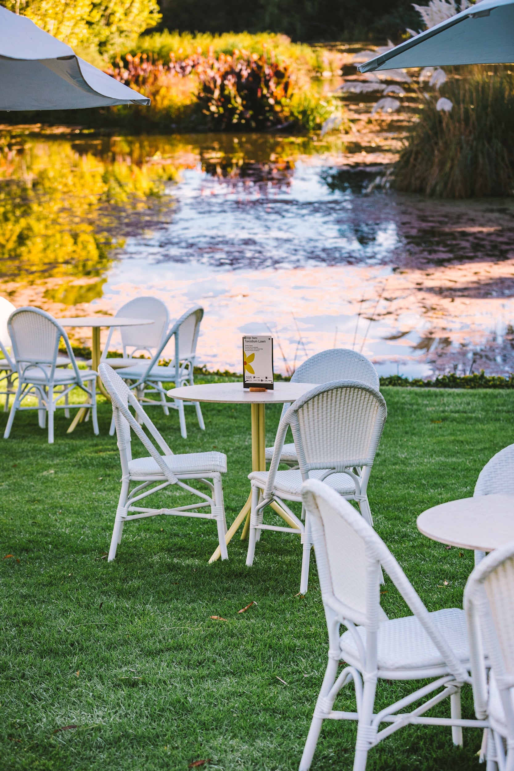 Riviera Chair