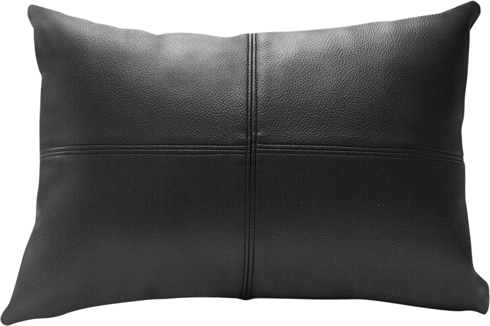 Leather Cushion