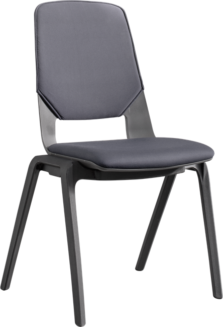 Connect Conference Chair