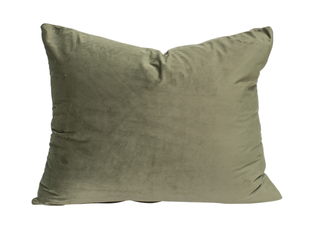 Velvet Cushion