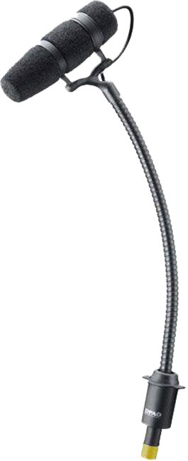 Microphone: DPA 4099 (Instrument)