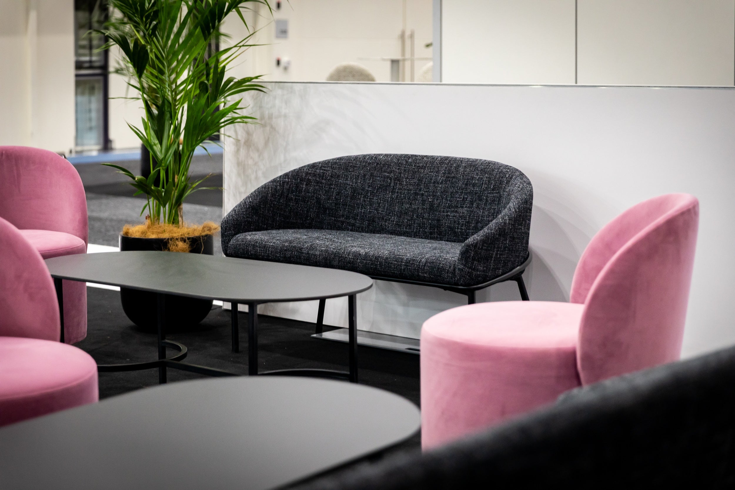 Finley Lounge