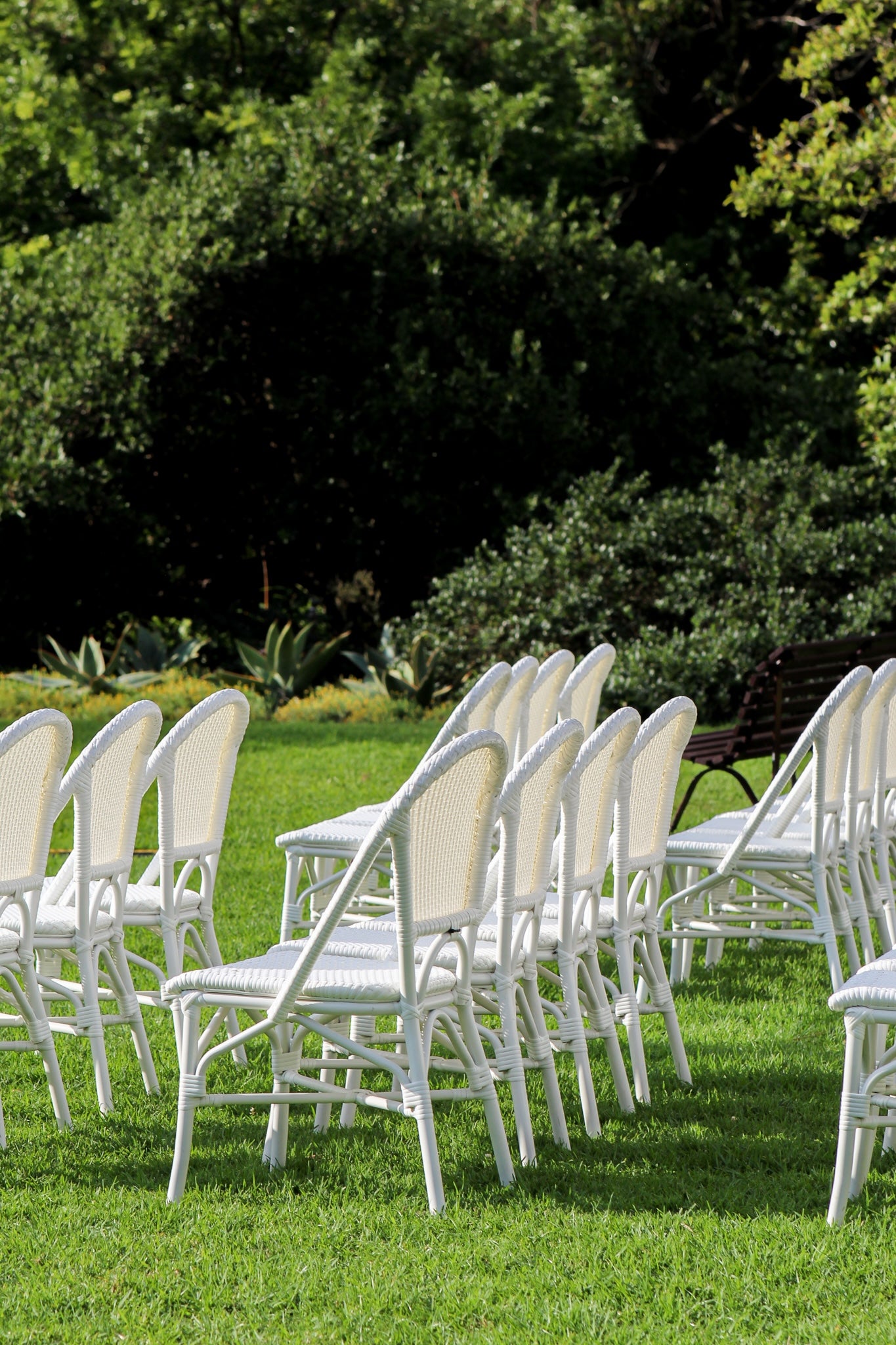 Riviera Chair