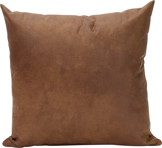 Leather Cushion