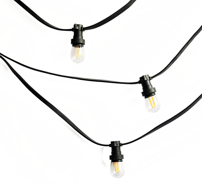 LED Festoons - 5m with small clear globes