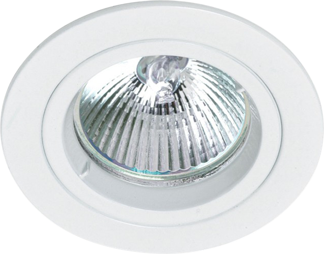 LED Downlight (White)