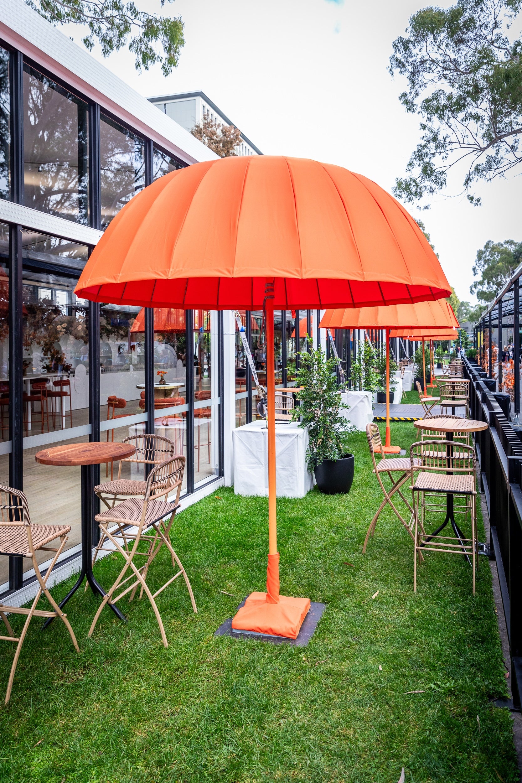 Umbrella Domed