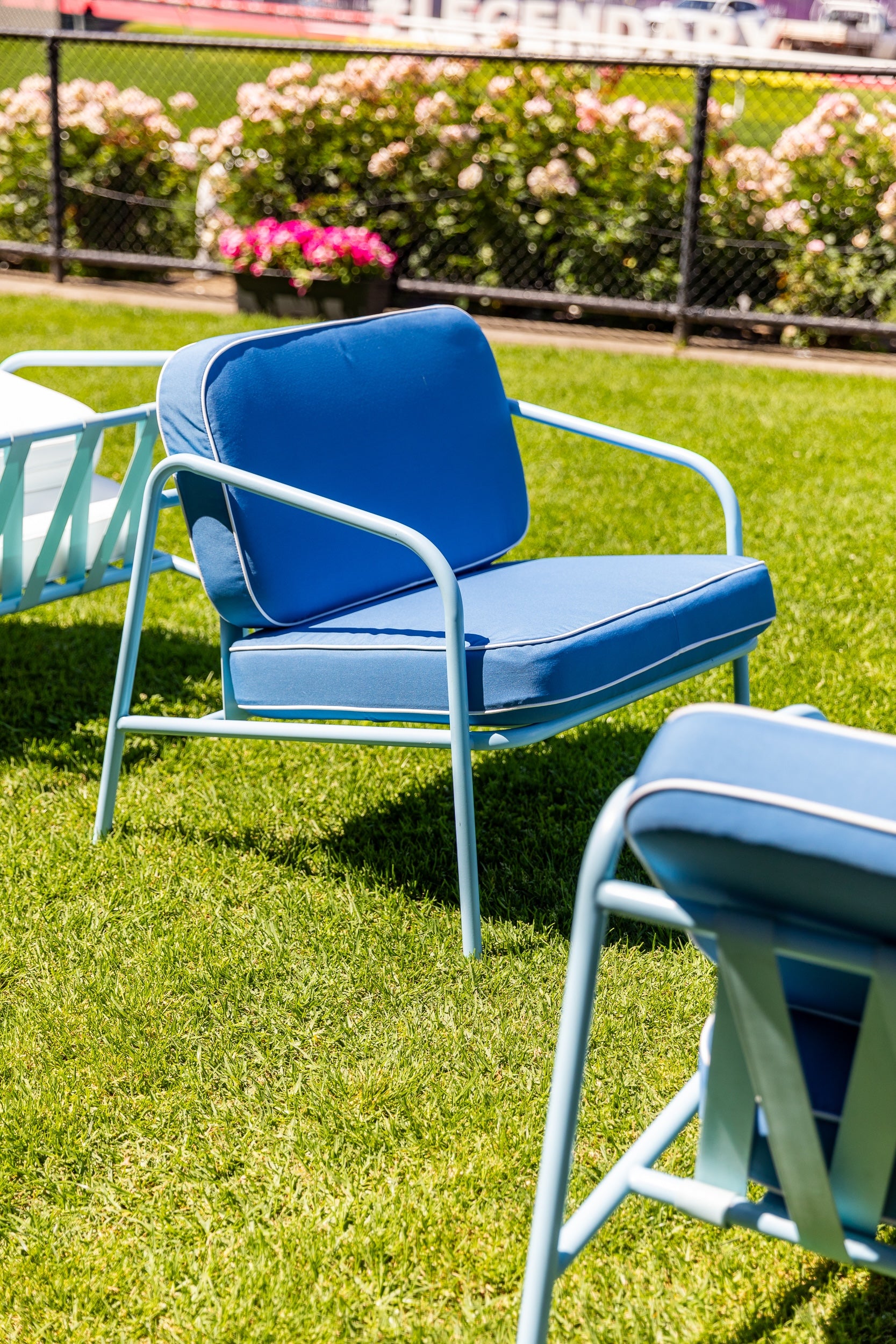 Calypso Armchair