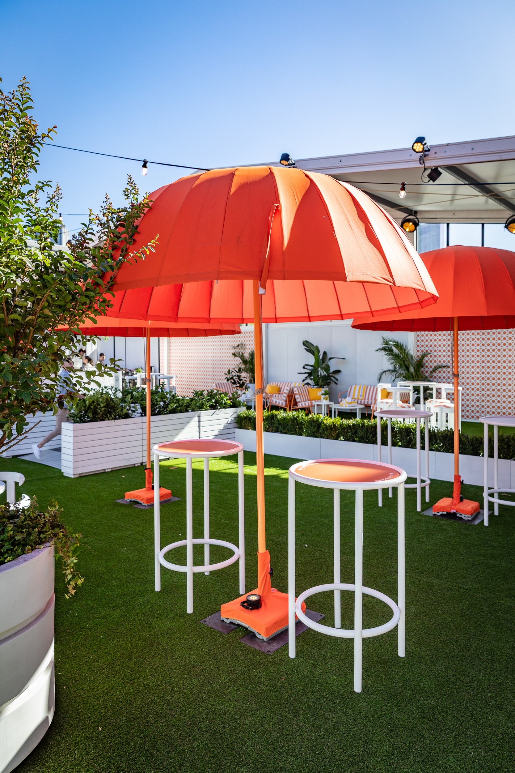 Umbrella Domed