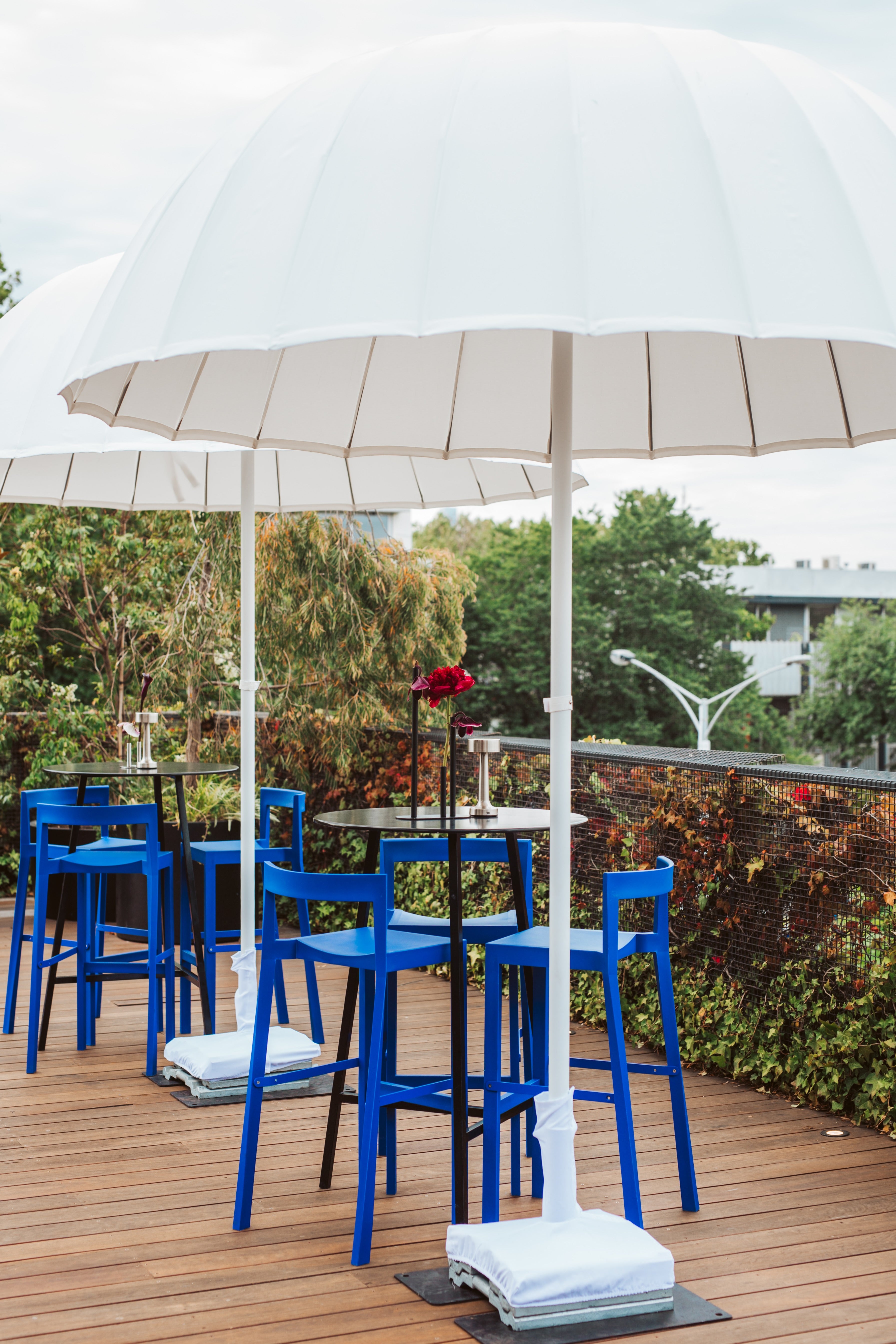 Umbrella Domed