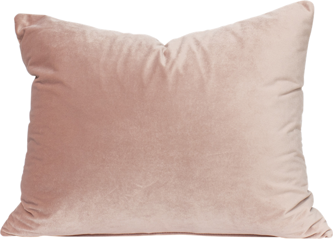 Velvet Cushion