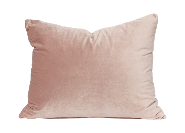Velvet Cushion
