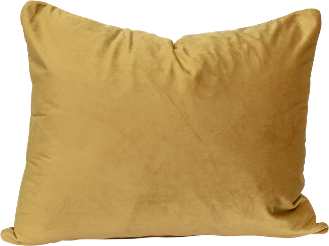 Velvet Cushion