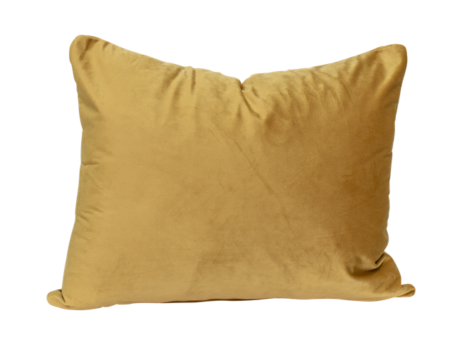 Velvet Cushion