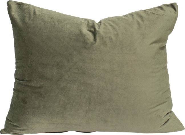 Velvet Cushion