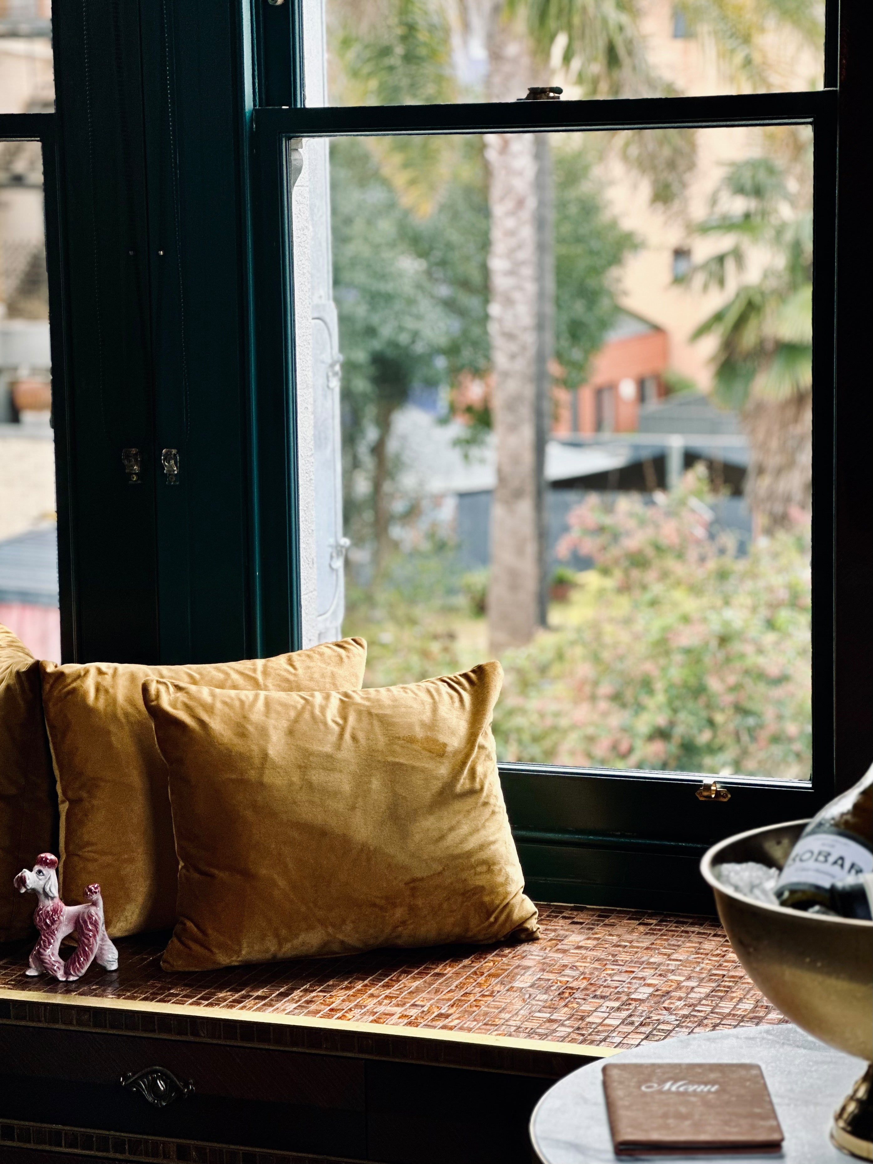 Velvet Cushion