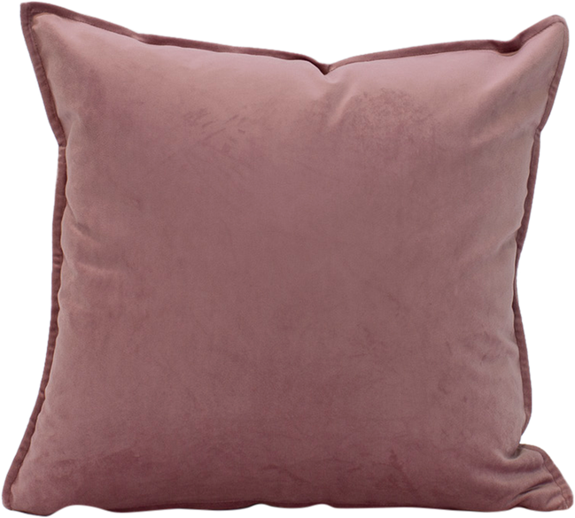 Velvet Cushion