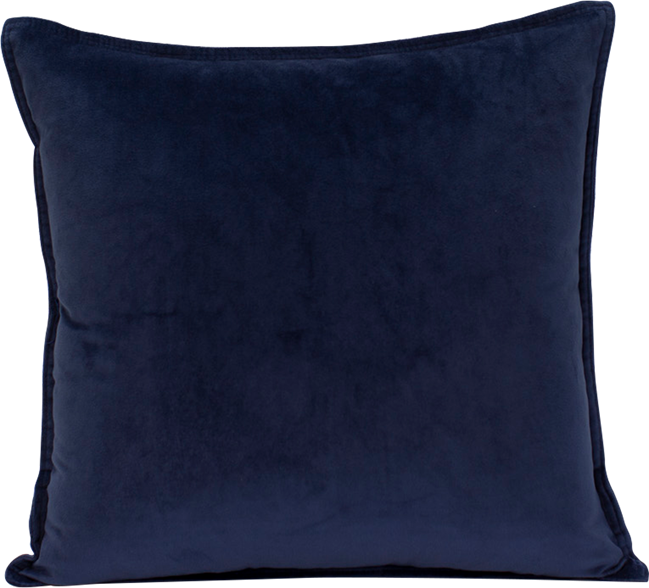Velvet Cushion