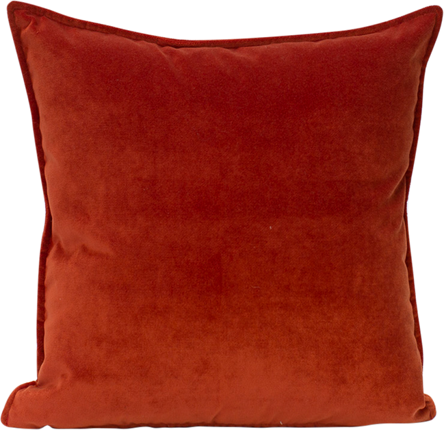 Velvet Cushion