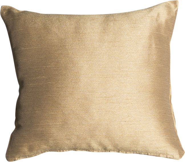 Gold Cushion - 50 x 50cm