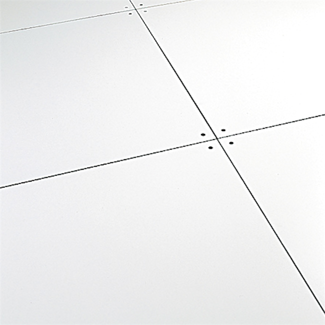 Raised Floor