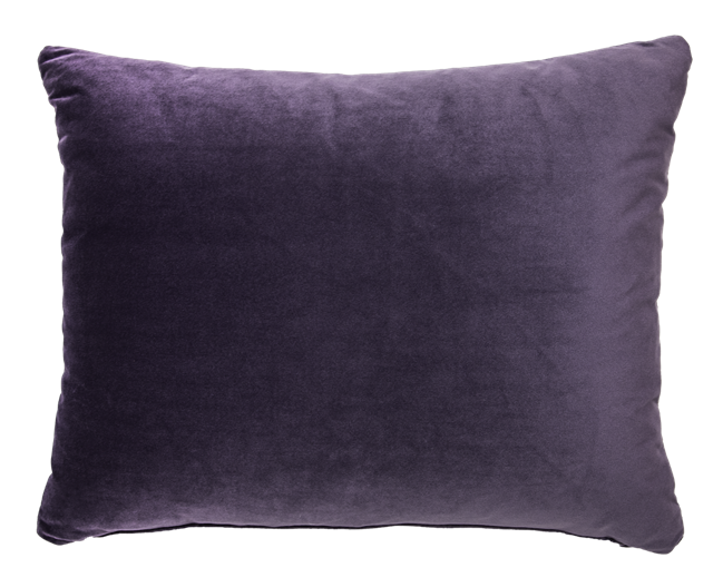 Velvet Cushion