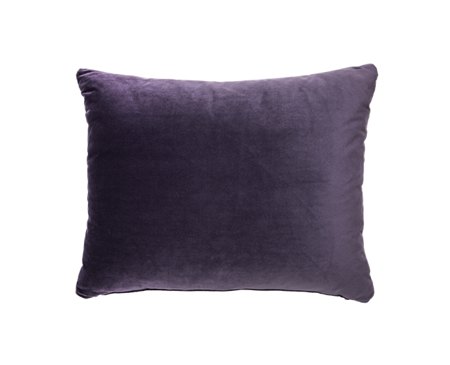 Velvet Cushion