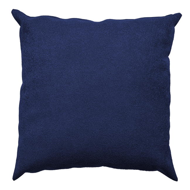 Vivid Cushion