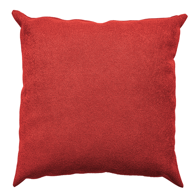 Vivid Cushion