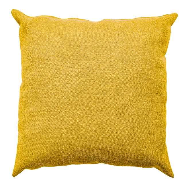 Vivid Cushion