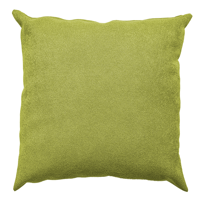 Vivid Cushion